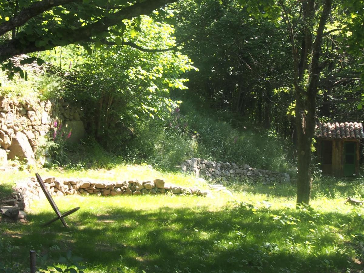 Grande Tente Tipi En Pleine Foret Burzet Luaran gambar